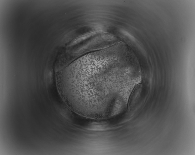 X0000088430556200706191236