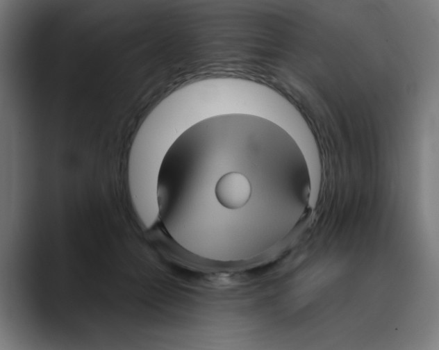 X0000088430558200706191236