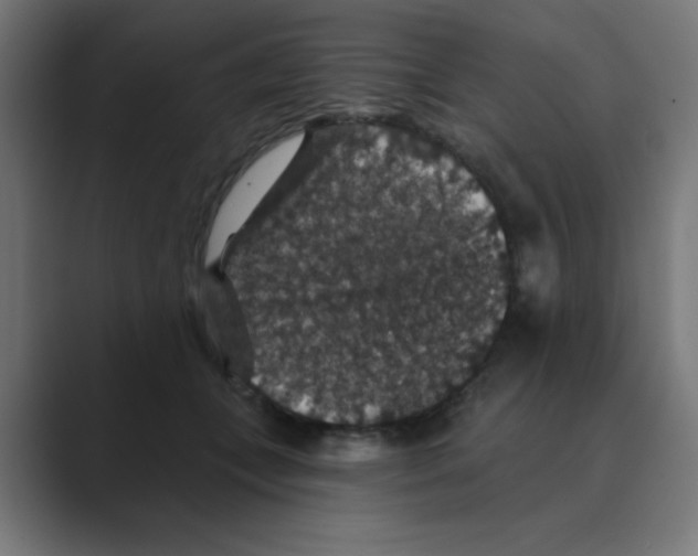 X0000088430559200706191236