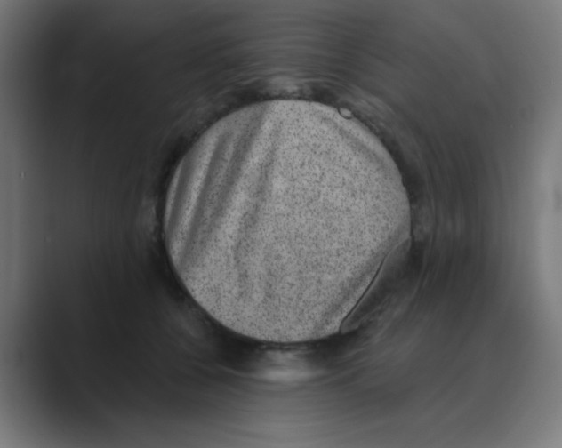 X0000088430560200706191236