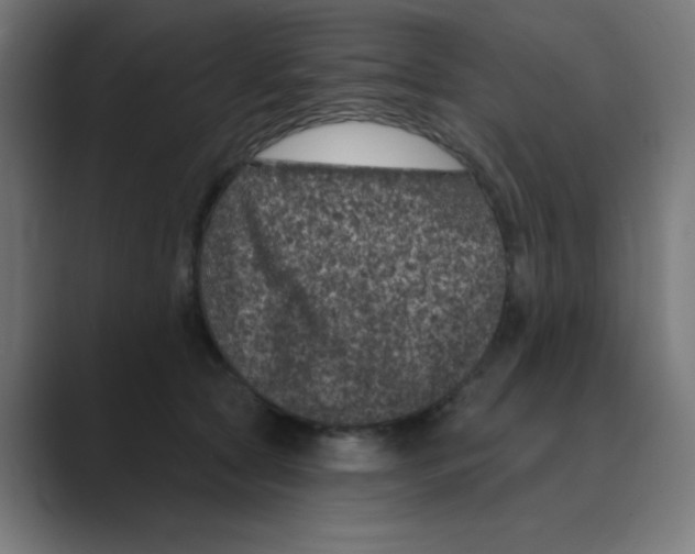 X0000088430561200706191236