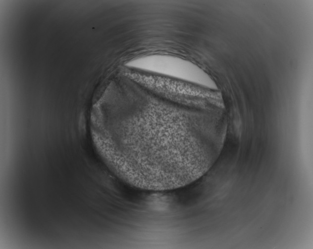 X0000088430562200706191236