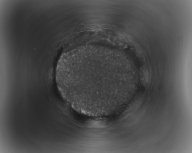 X0000088430563200706191236