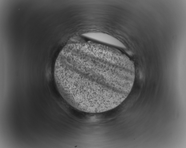 X0000088430564200706191236