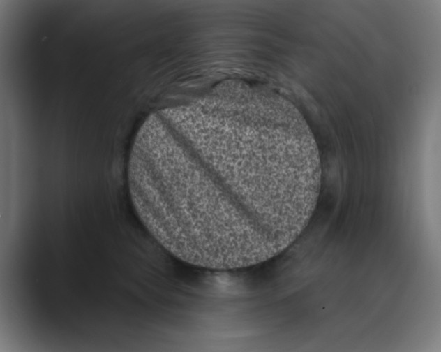 X0000088430565200706191236