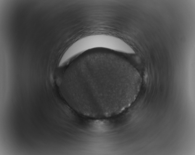 X0000088430566200706191236