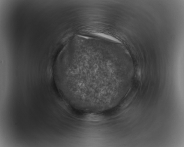 X0000088430568200706191236