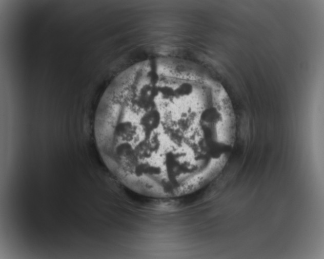 X0000088430569200706191236