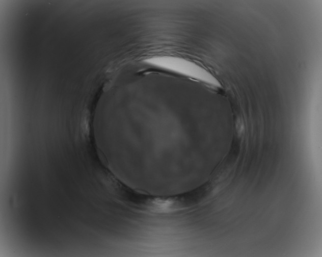 X0000088430570200706191236