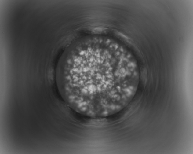 X0000088430571200706191236