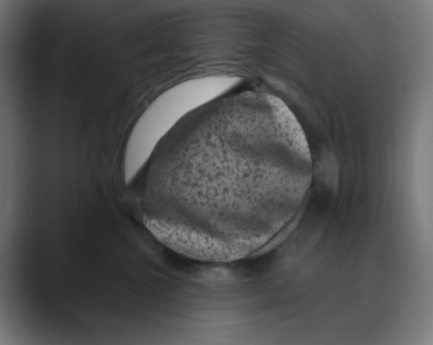X0000088430572200706191236