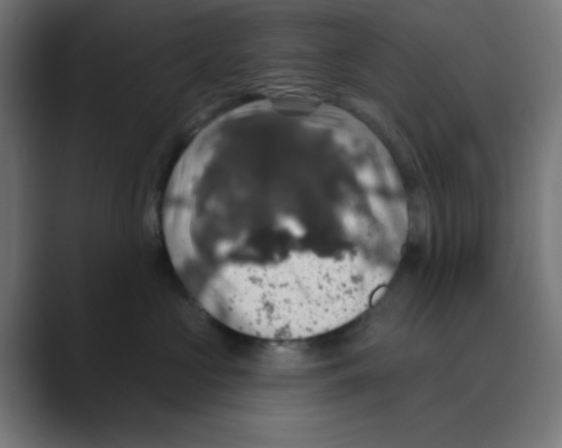 X0000088430573200706191236