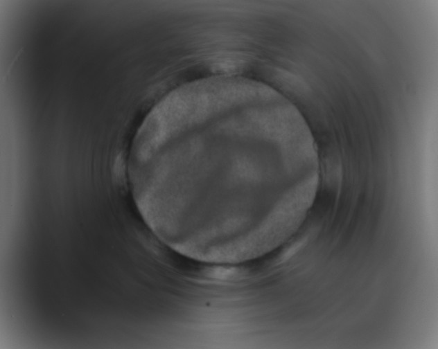 X0000088430575200706191236