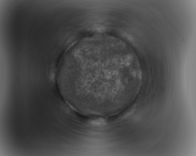 X0000088430576200706191236