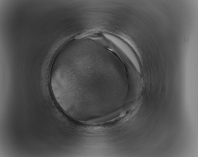 X0000088430577200706191236