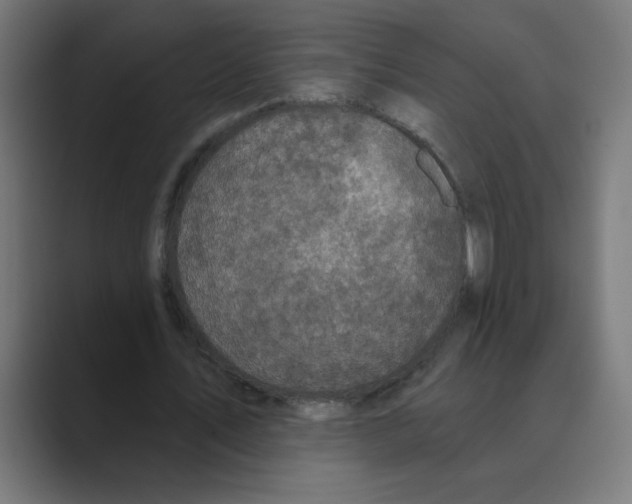 X0000088430579200706191236