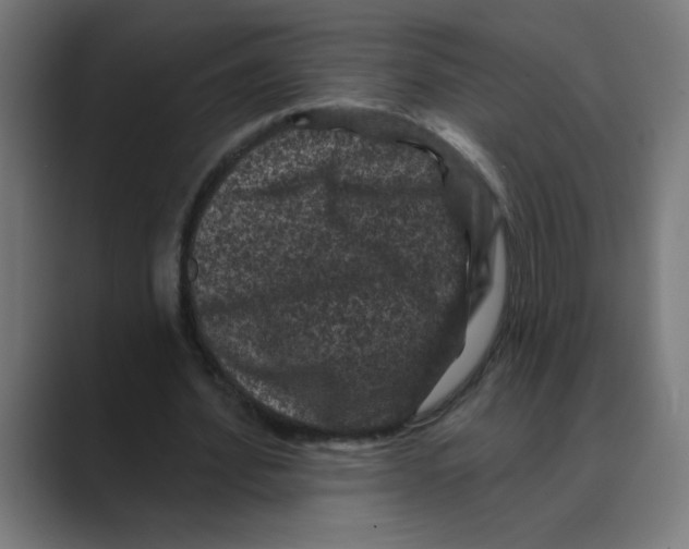 X0000088430580200706191236