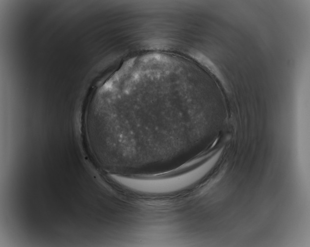 X0000088430581200706191236