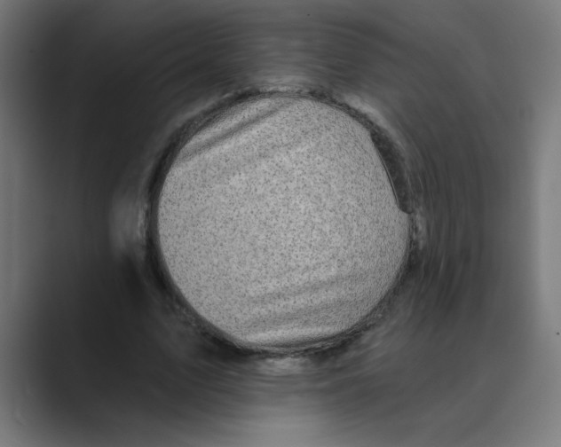 X0000088430583200706191236