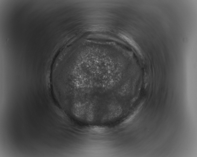 X0000088430585200706191236