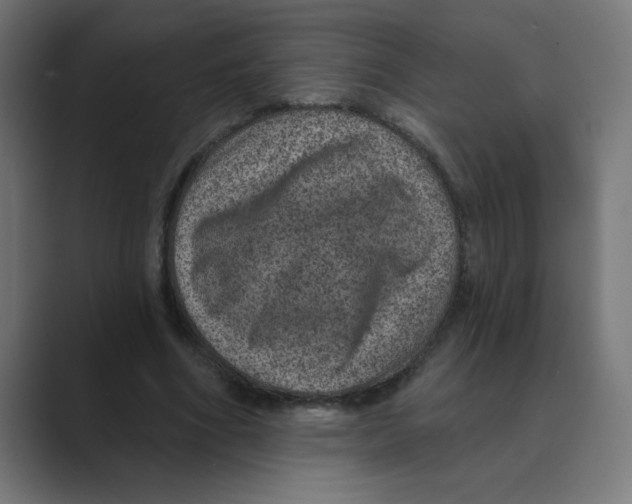 X0000088430586200706191236