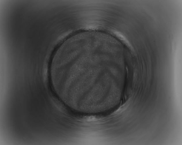 X0000088430588200706191236