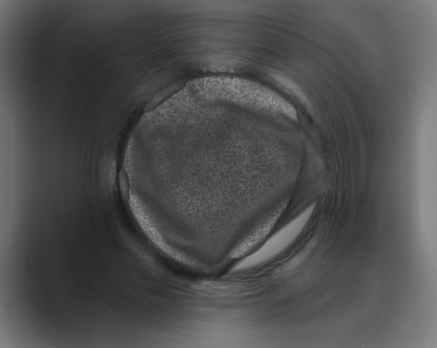 X0000088430589200706191235