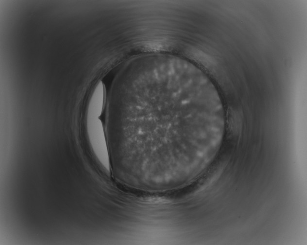 X0000088430590200706191235