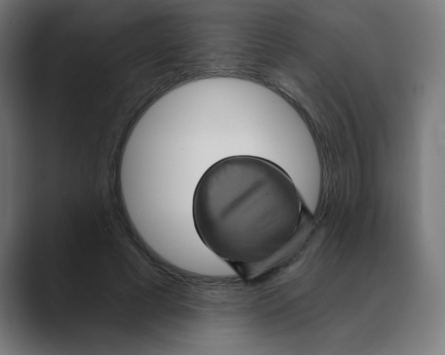 X0000088430593200706191235