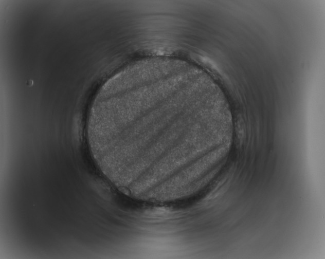 X0000088430594200706191235