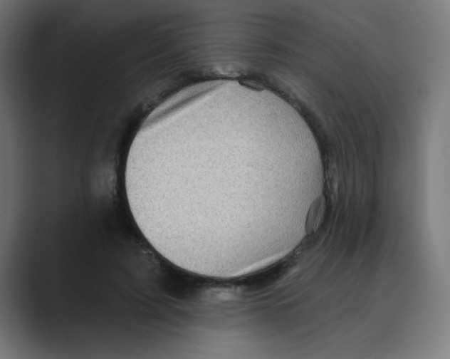 X0000088430595200706191235