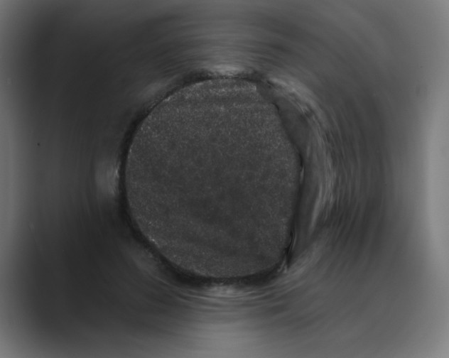 X0000088430596200706191235