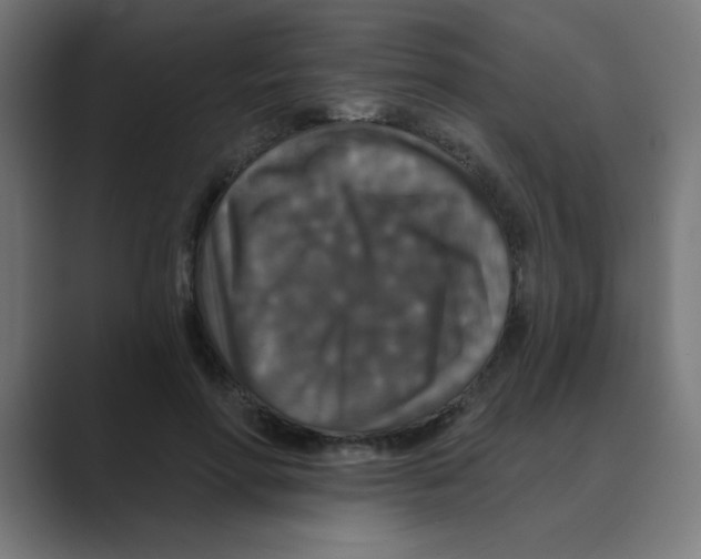 X0000088430598200706191235
