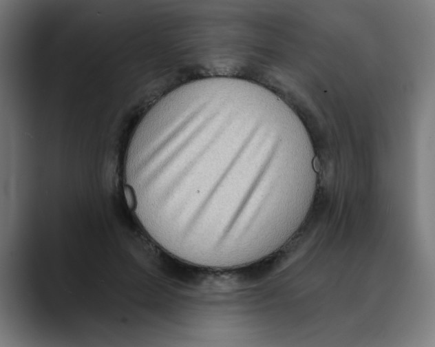 X0000088430599200706191235