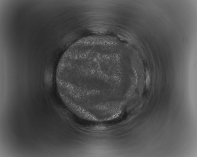 X0000088430600200706191235