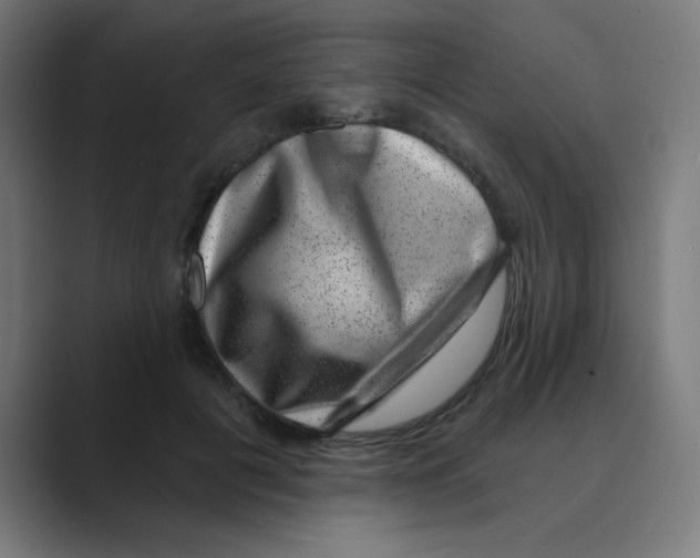 X0000088430601200706191235