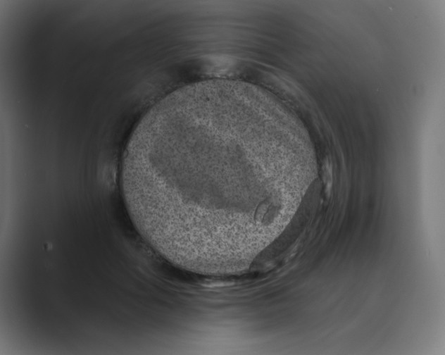 X0000088430602200706191235