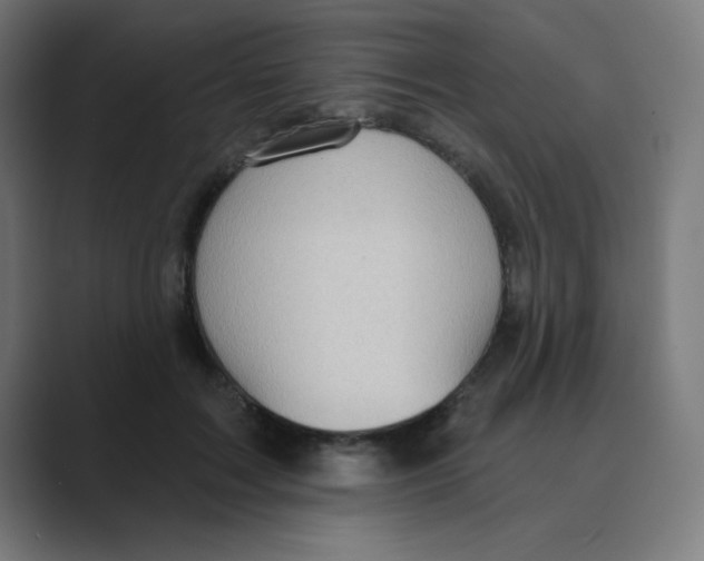 X0000088430603200706191235