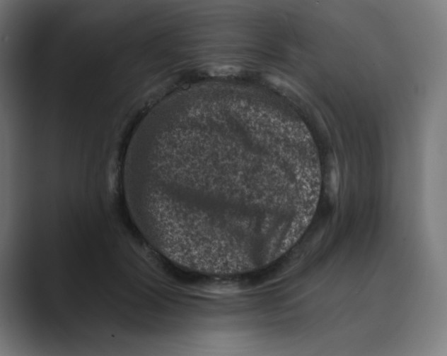 X0000088430604200706191235