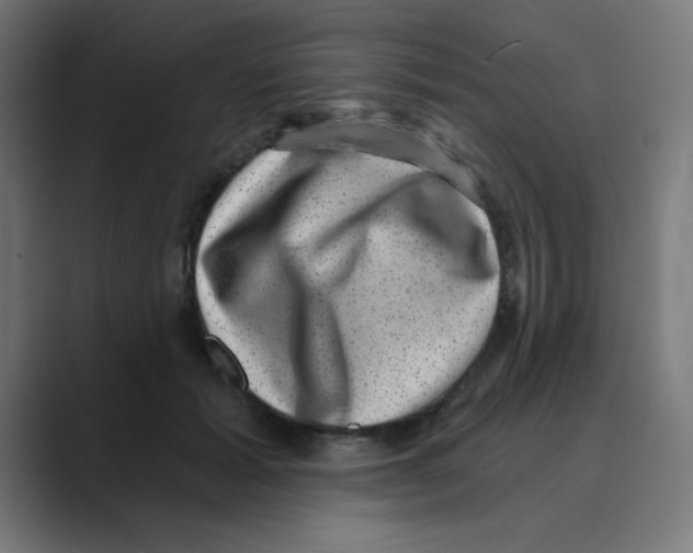 X0000088430605200706191235