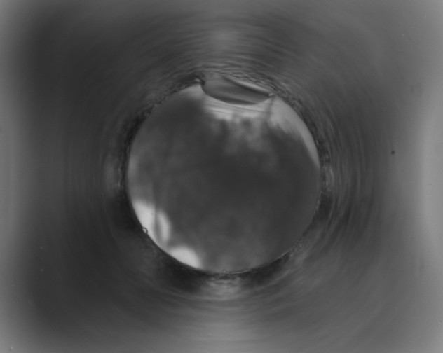 X0000088430606200706191235