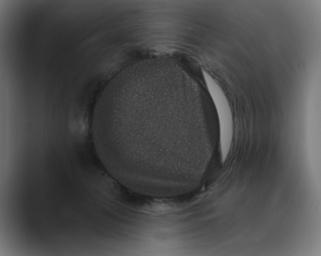 X0000088430608200706191235