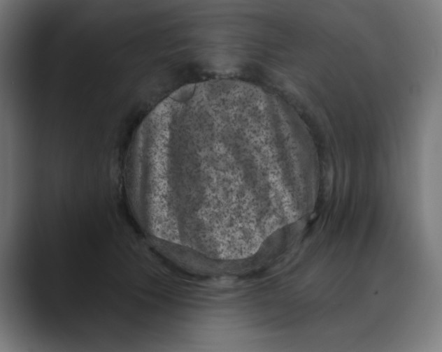 X0000088430609200706191235