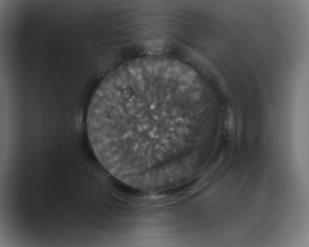 X0000088430610200706191235
