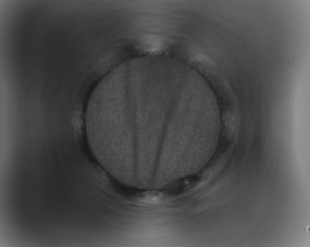 X0000088430612200706191235