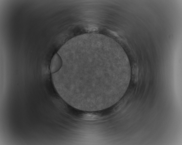 X0000088430614200706191235