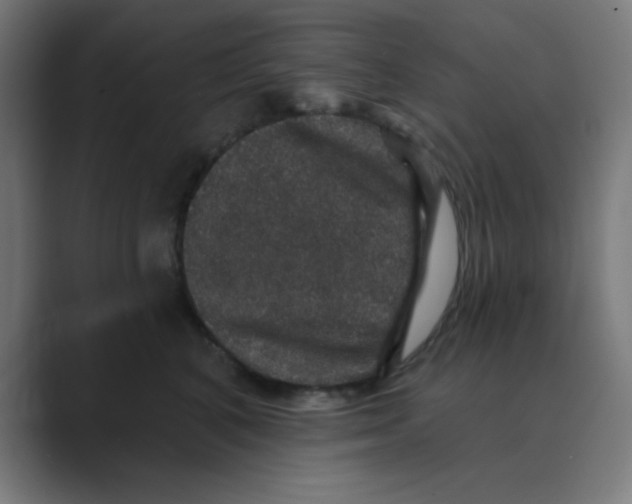 X0000088430616200706191235