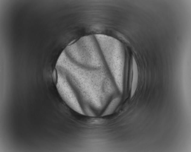 X0000088430617200706191235