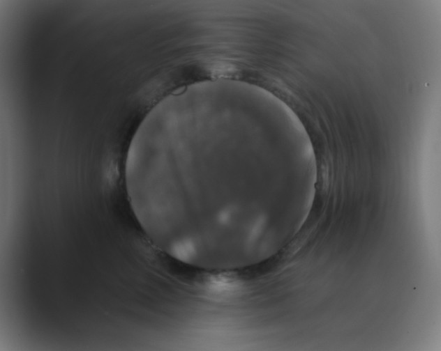 X0000088430618200706191235