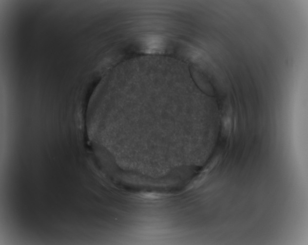 X0000088430620200706191235